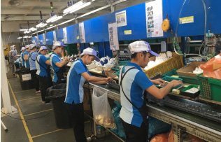 Automatic production line conveyor belt